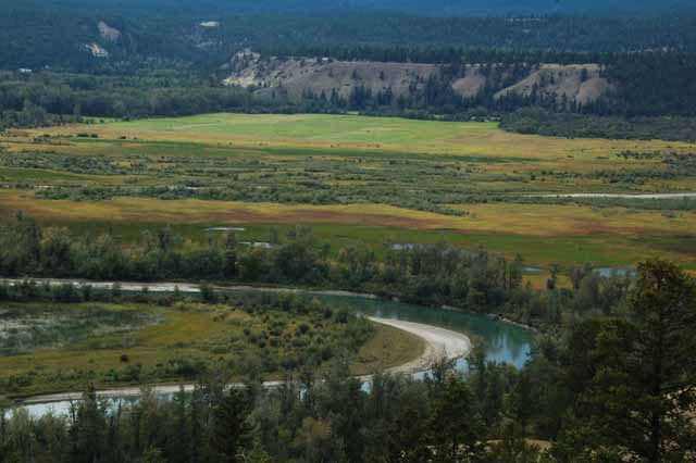 the Columbia wetlands